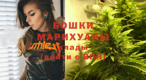 ПСИЛОЦИБИНОВЫЕ ГРИБЫ Корсаков