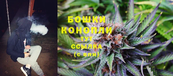 ПСИЛОЦИБИНОВЫЕ ГРИБЫ Корсаков